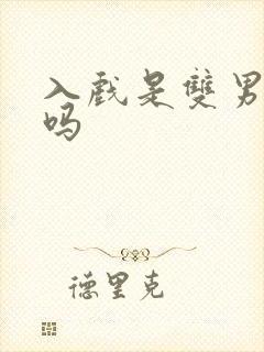 入戏是双男主文吗