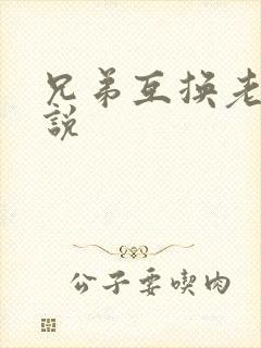 兄弟互换老婆小说封面