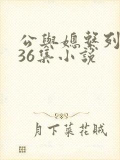公与媳系列1—36集小说