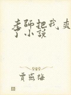 老师把我爽高潮了小说