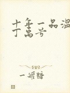 十年一品温如言丁禹兮