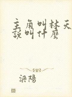 主角叫林天的小说叫什么