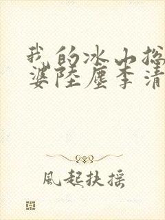 我的冰山总裁老婆陆尘李清瑶封面