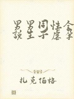 男男同性全肉小说生子虐孕