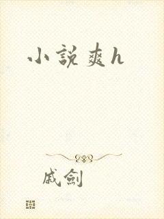 小说爽h