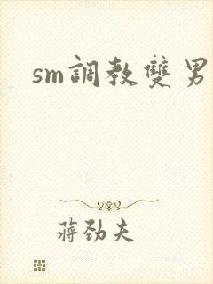 sm调教双男主