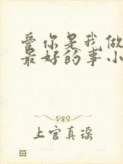 爱你是我做过的最好的事小说