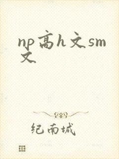 np高h文sm文