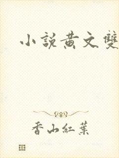 小说黄文双男主