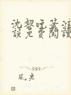 沈黎晚萧淮正小说免费阅读