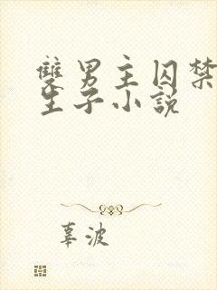 双男主囚禁强制生子小说