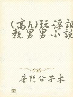 (高h)玩淫调教男男小说封面