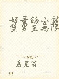 好看的小说推荐双男主无限流封面