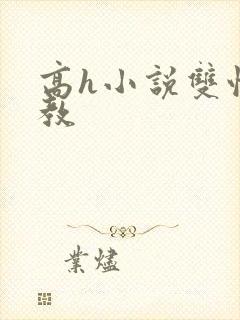 高h小说双性调教