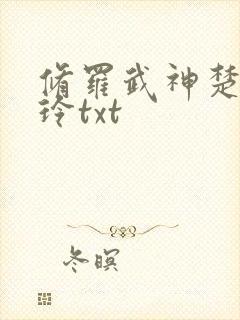 修罗武神楚枫紫玲txt