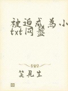 被迫成为小说家txt网盘