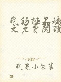 我的极品娇妻全文免费阅读