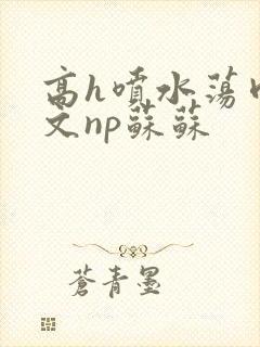 高h喷水荡肉爽文np苏苏
