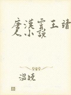 唐汉霄王靖雯同人小说封面