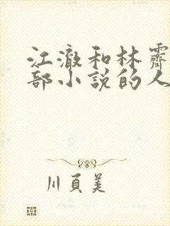 江澈和林霁是哪部小说的人物名字