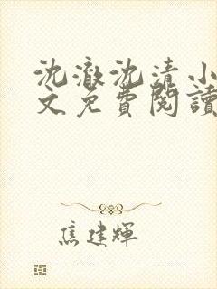 沈澈沈清小说全文免费阅读最新章节封面