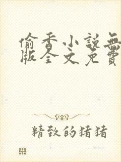 偷香小说无删减版全文免费阅读