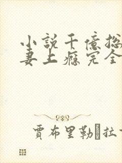 小说千亿总裁宠妻上瘾完全版封面