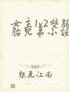 女主1v2双胞胎兄弟小说