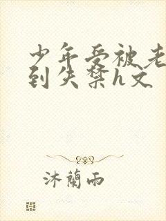 少年受被老头肉到失禁h文