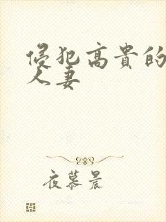 侵犯高贵的美丽人妻