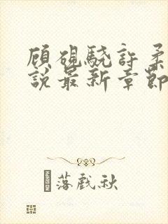 顾砚骁许柔汐小说最新章节更新时间