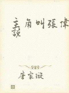 主角叫张伟的小说