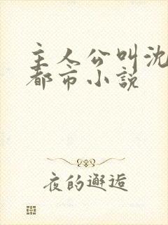 主人公叫沈淮的都市小说