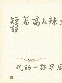短篇高h辣文小说