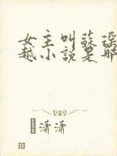 女主叫苏瑶的穿越小说是哪部小说