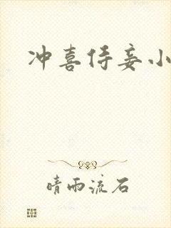 冲喜侍妾小说封面