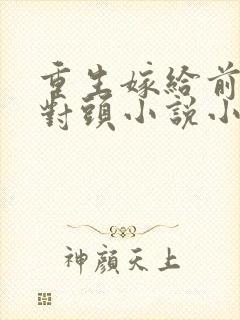 重生嫁给前夫死对头小说小说封面