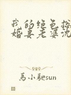 我的绝色总裁未婚妻老婆沈浪封面