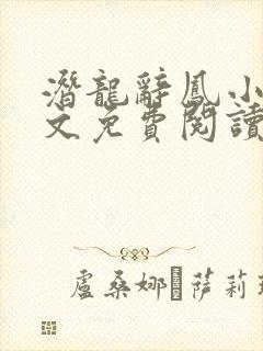 潜龙辞凤小说全文免费阅读