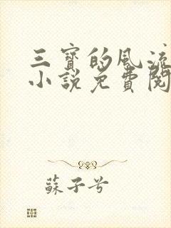 三宝的风流人生小说免费阅读