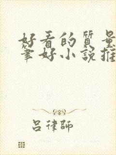 好看的质量高文笔好小说推荐