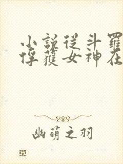 小说从斗罗开始俘获女神在线阅读