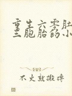 重生六零肚里怀三胞胎的小说