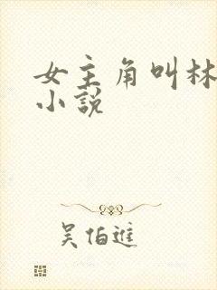 女主角叫林柔的小说