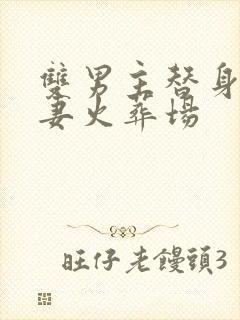 双男主替身梗追妻火葬场