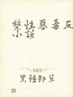 双性恶毒反派的小说