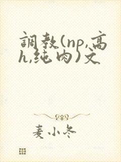 调教(np,高h,纯肉)文