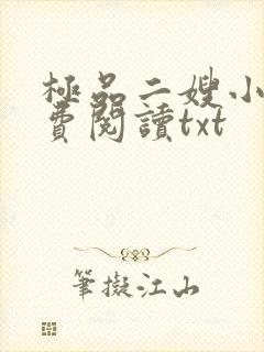 极品二嫂小说免费阅读txt封面