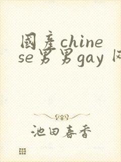 国产chinese男男gay 网站