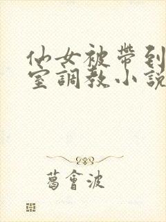 仙女被带到乳刑室调教小说封面